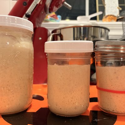 Sourdough Starter (with Instructions)