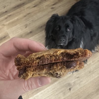 Dozen Brown Butter Chocolate Chip Cookies