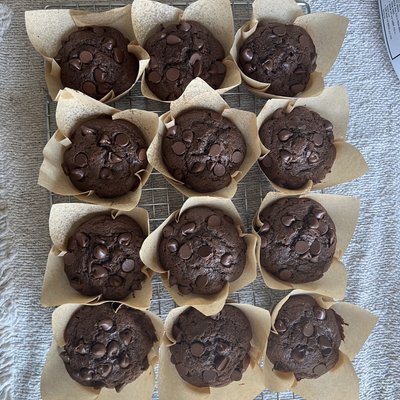 Double Chocolate Lactation Muffins