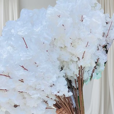 100 White Cherry Blossom Flowers