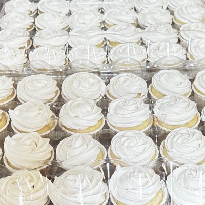 Cupcakes Frosted (Four Dozen)