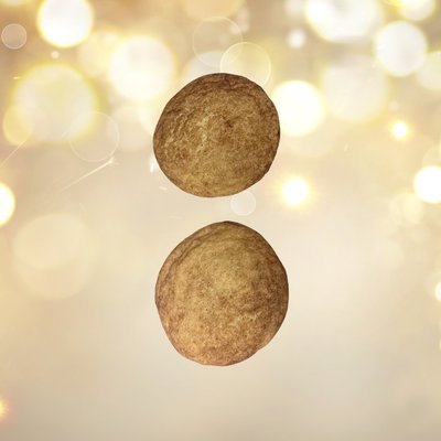 Dulce Canela Bite 2 Pack