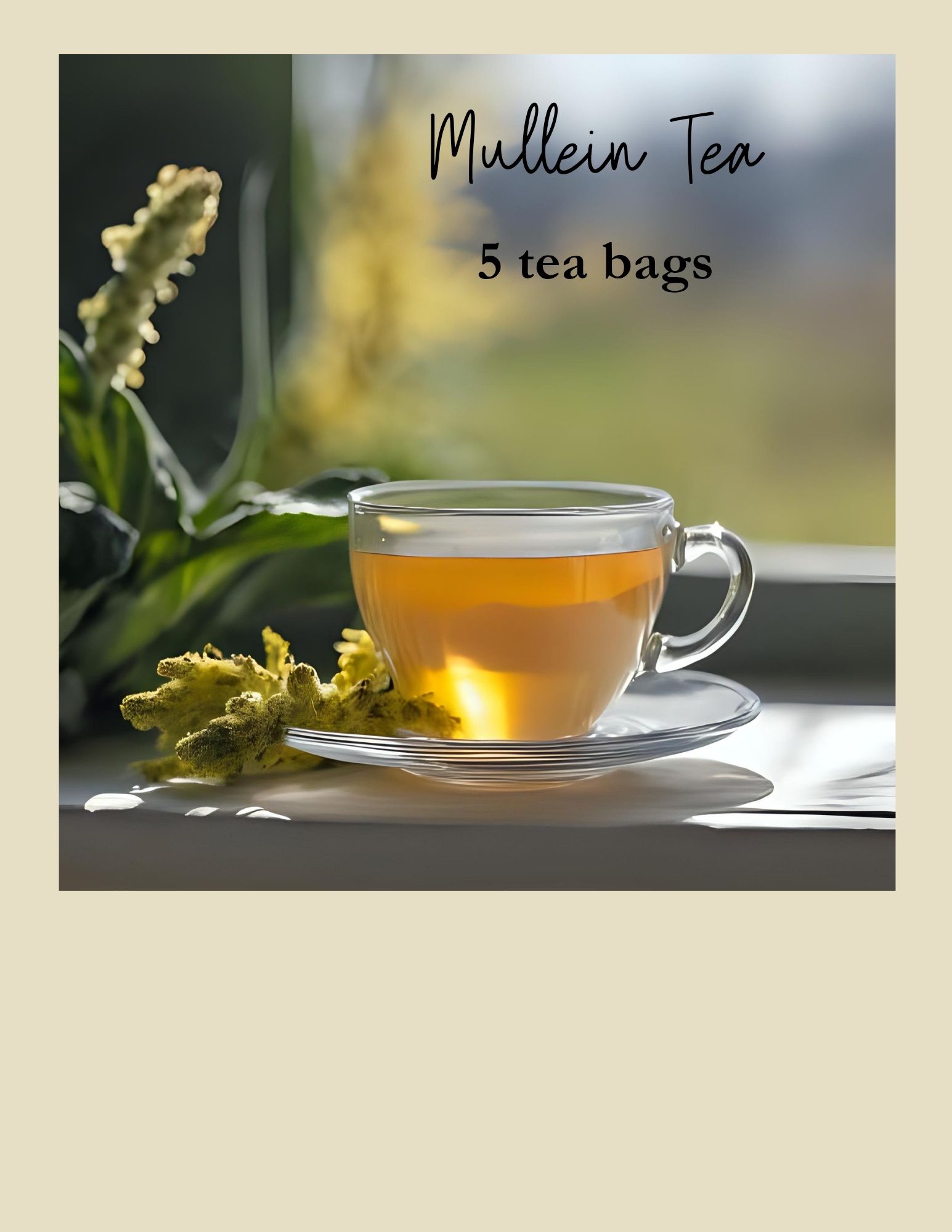 Mullein Tea