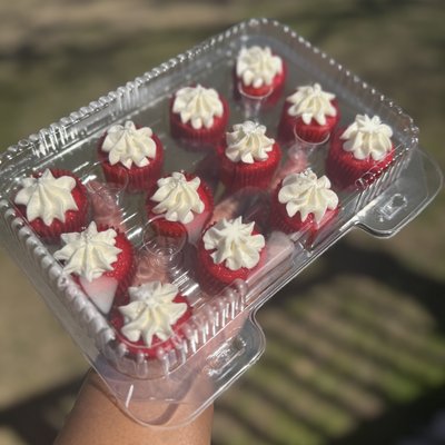 Mini Cupcakes