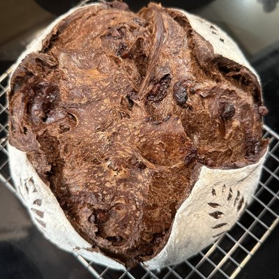 The Midnight Chocolate Cozy