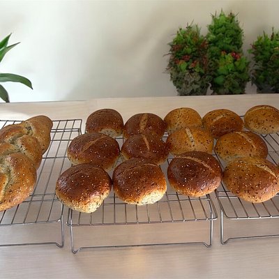 High Protein Rolls