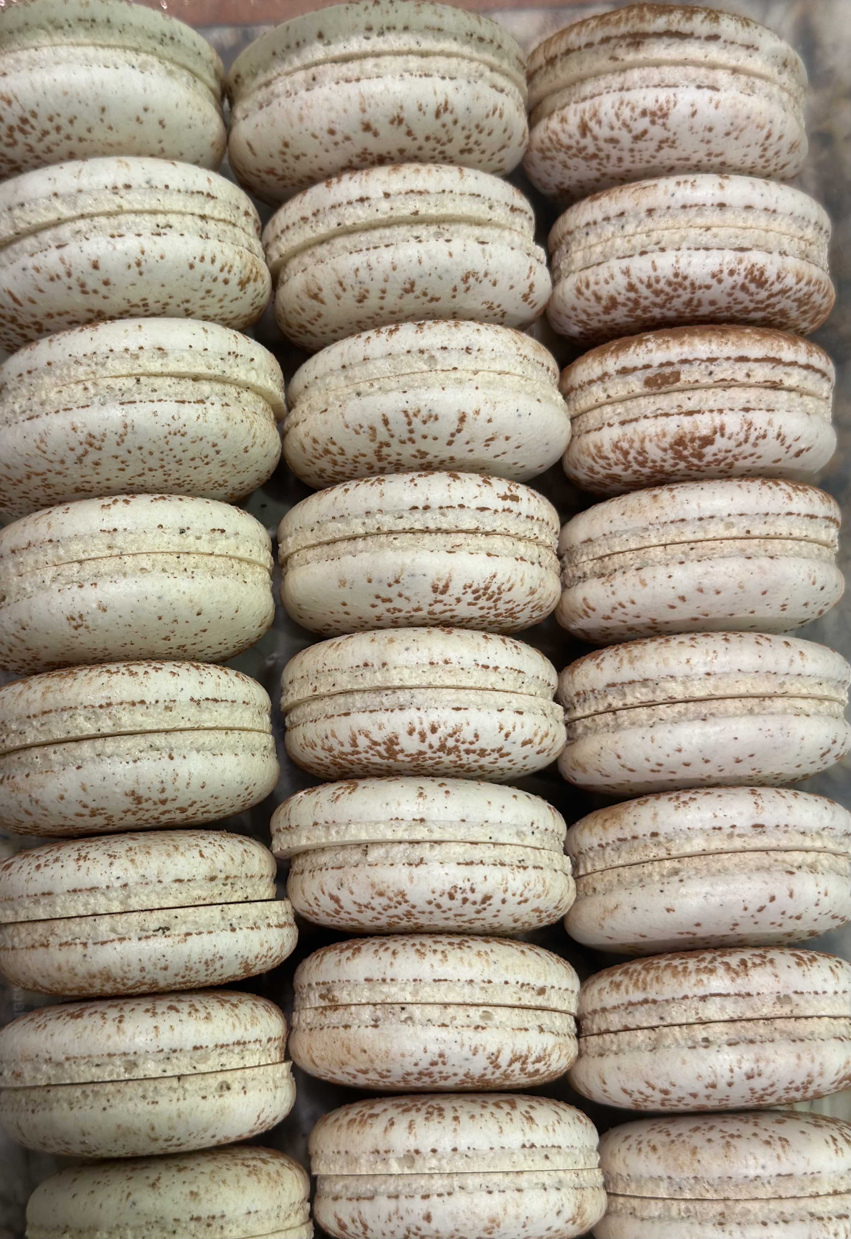 Tiramisu Macarons 