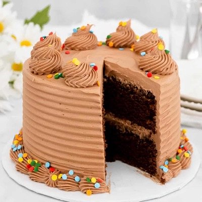 Chocolate Cake With Sprinkles 10 Inch (serves 16-20)