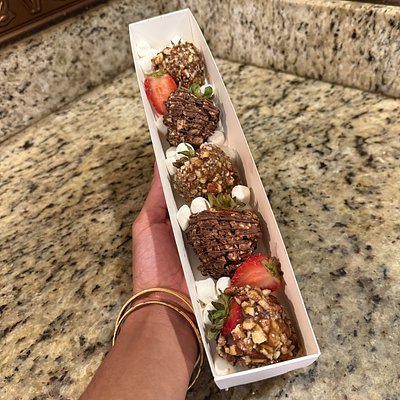 Turtle Rocher Temptation
