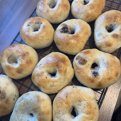 Blueberry Bagels (10)