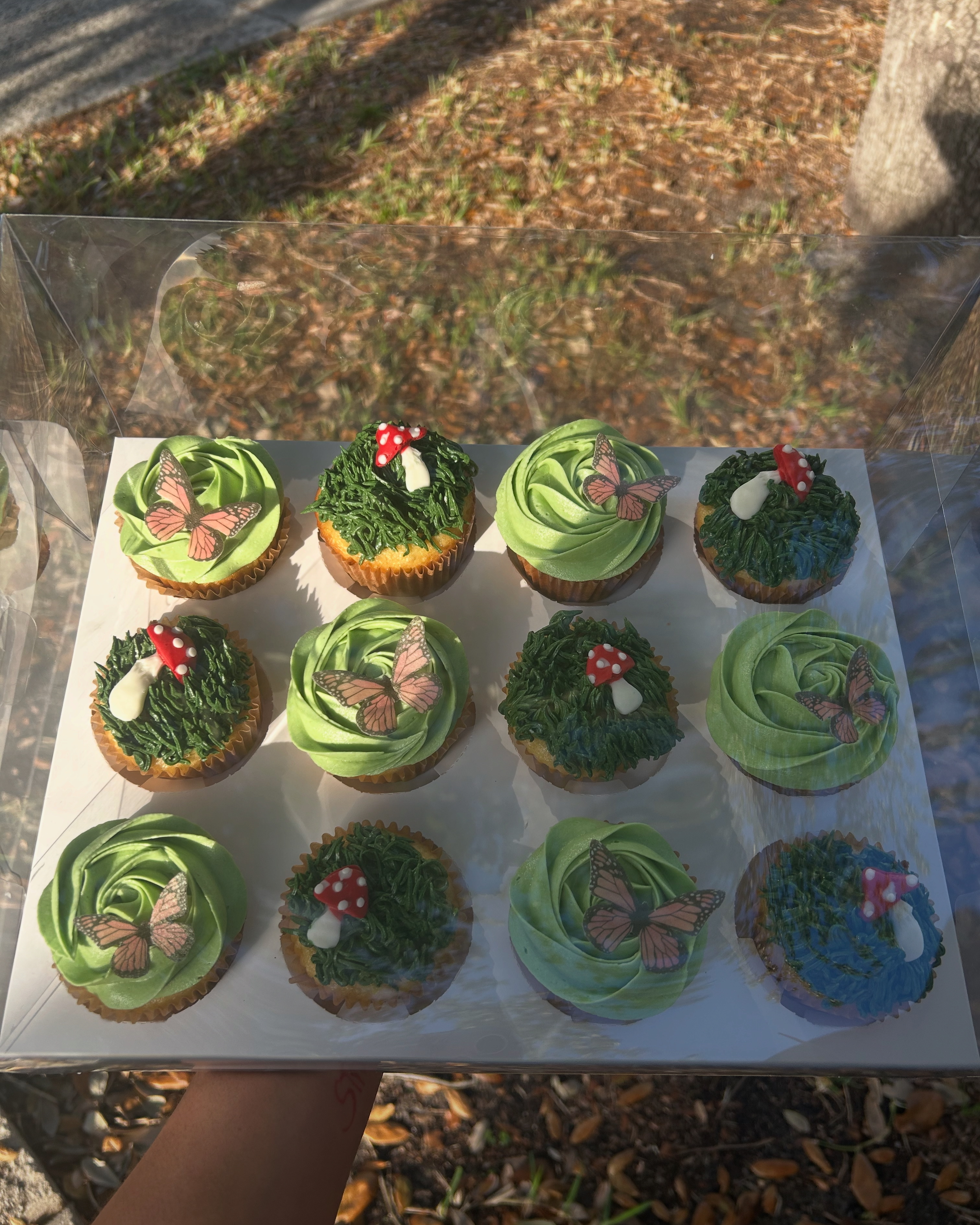 Cupcakes 