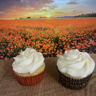 Vanilla Cupcakes