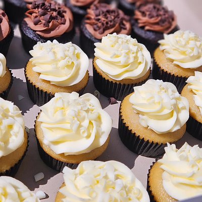 Classic Vanilla Cupcakes (6-Pack)