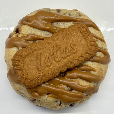 Biscoff Chocolate Chip  