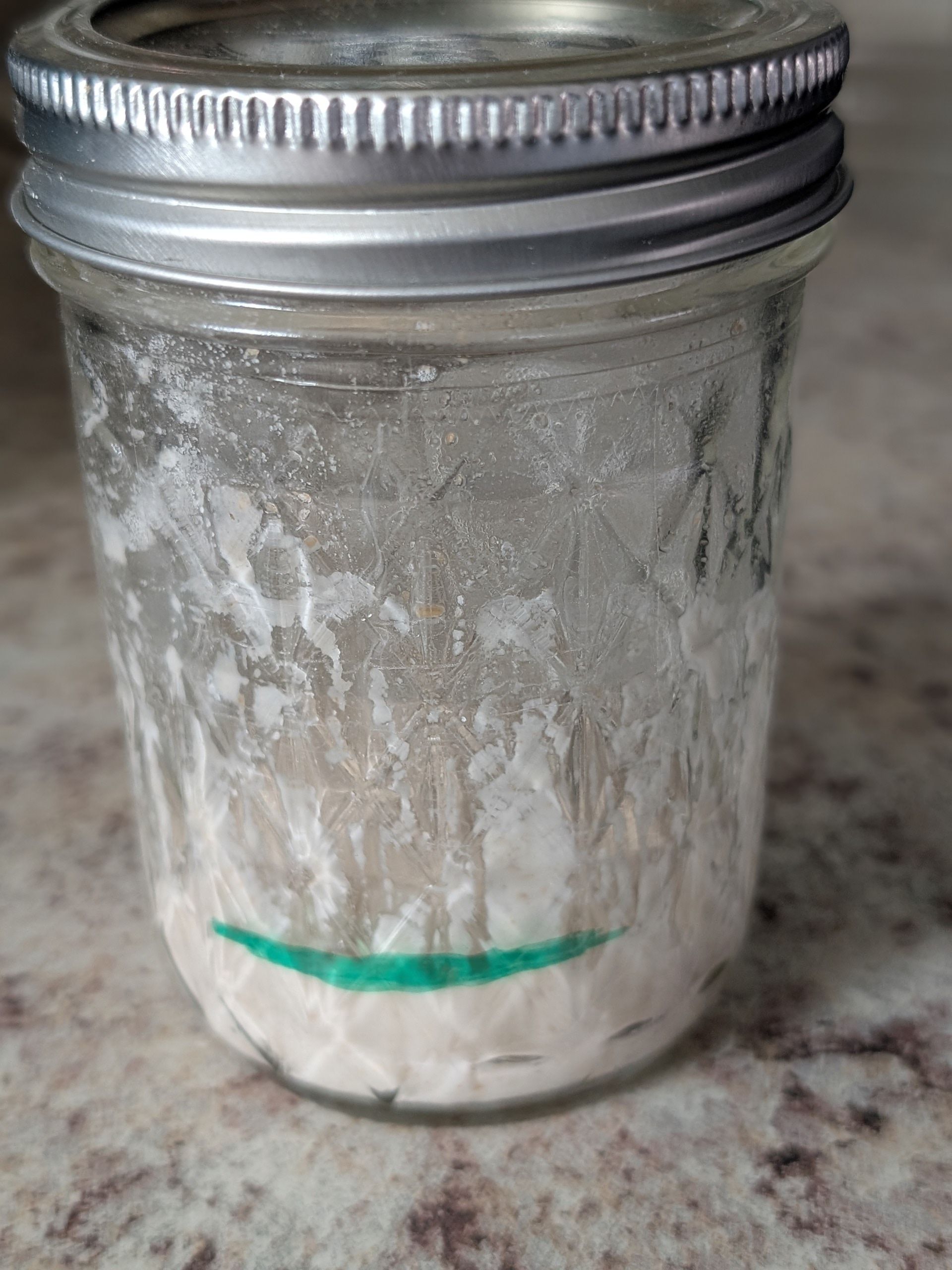 Dehydrated Sourdough Starter kit