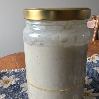 Sourdough Starter - Active