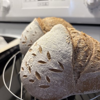 Whole Wheat Mini Loaf