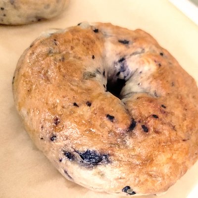 Blueberry Bagel
