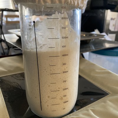 Sourdough Starter (instructions Included) 🍞