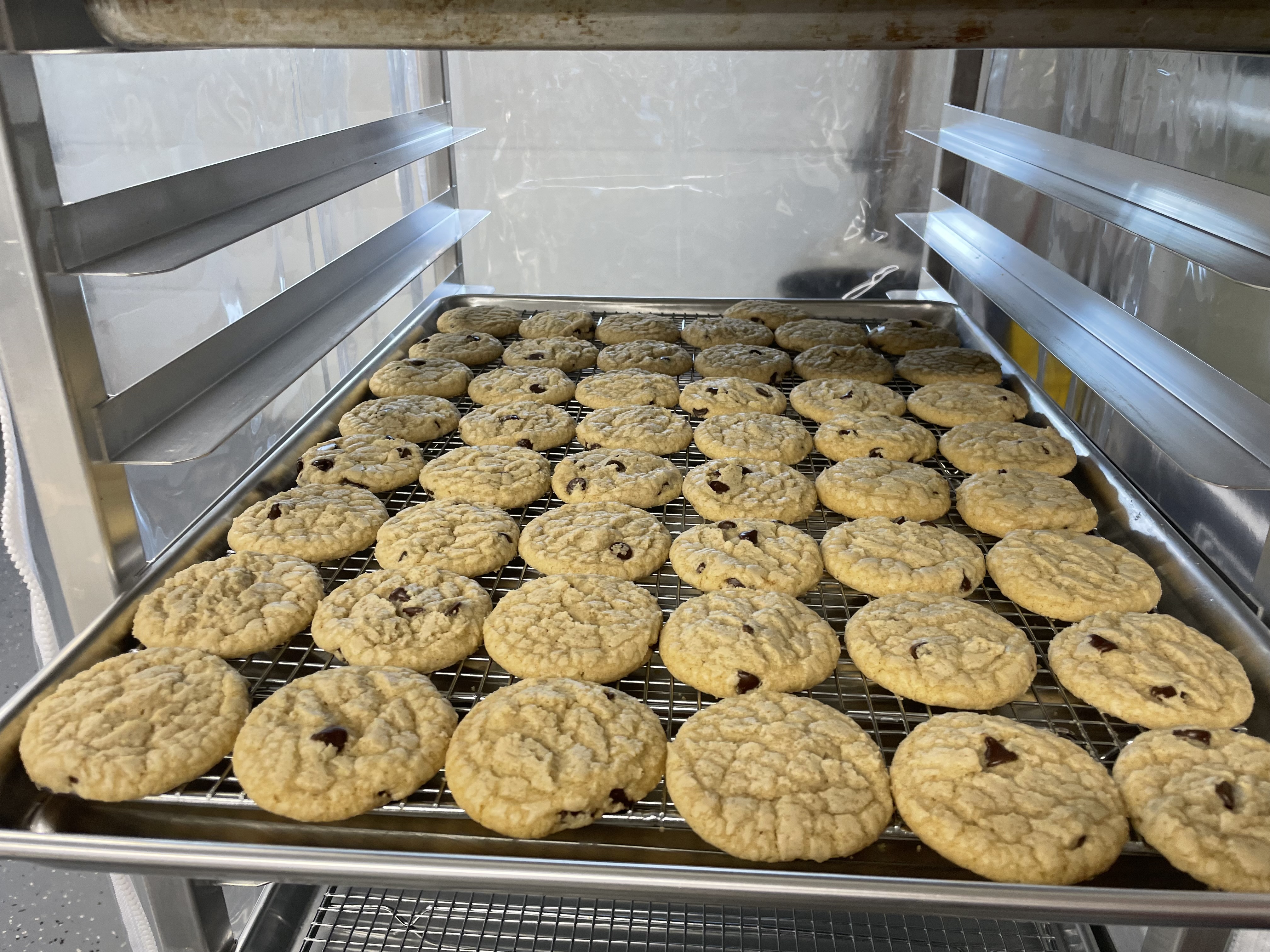 Chocolate Chip Cookies