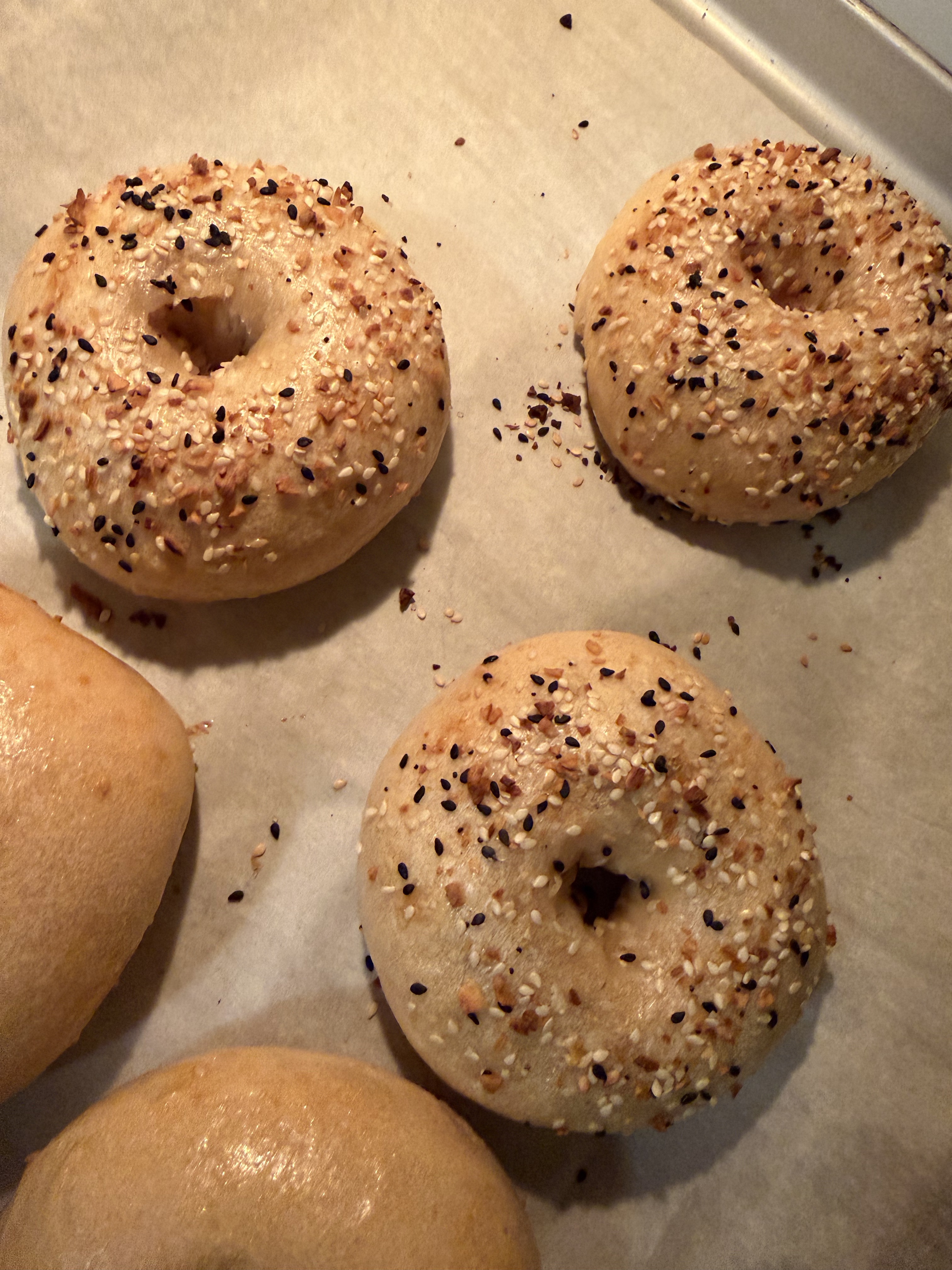 Everything Bagels- 4pk