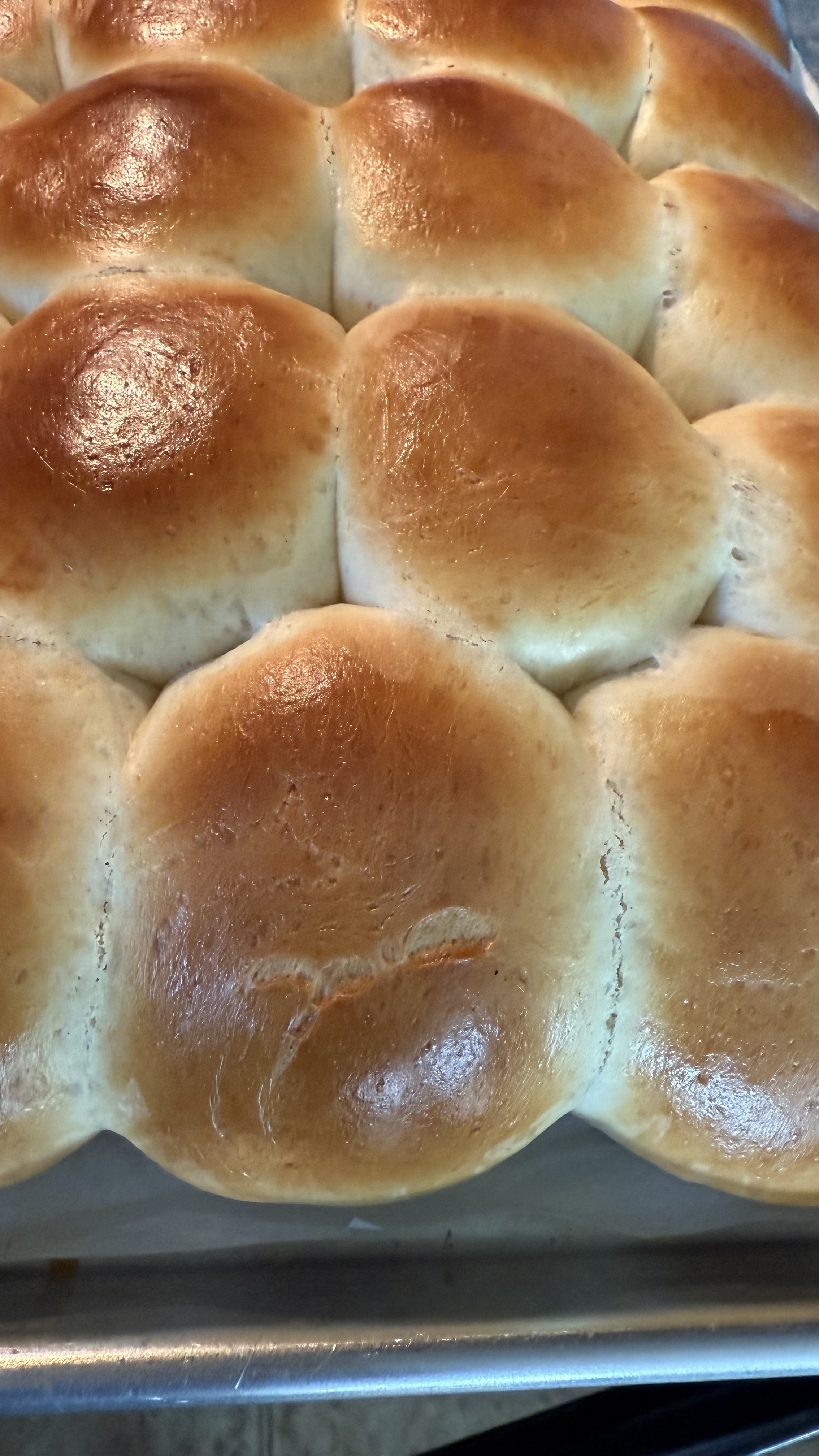 Dinner Rolls