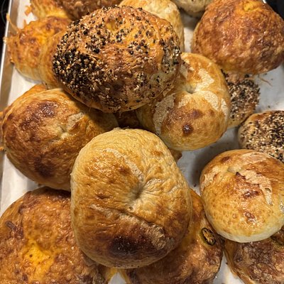 Plain Sourdough Bagels (6pk)