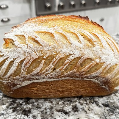 Sourdough Bread - Plain