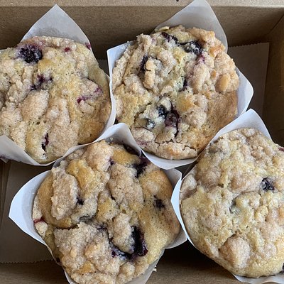 Jumbo Blueberry Muffins 