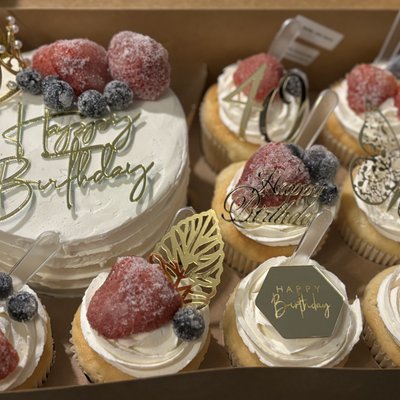 Bento Cake Box Bundle