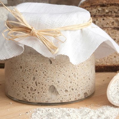 Sourdough Starter 