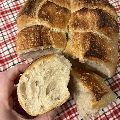 Pull Apart Sourdough Rolls