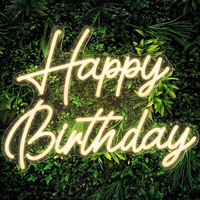 12.2x16.5in Birthday Neon Light