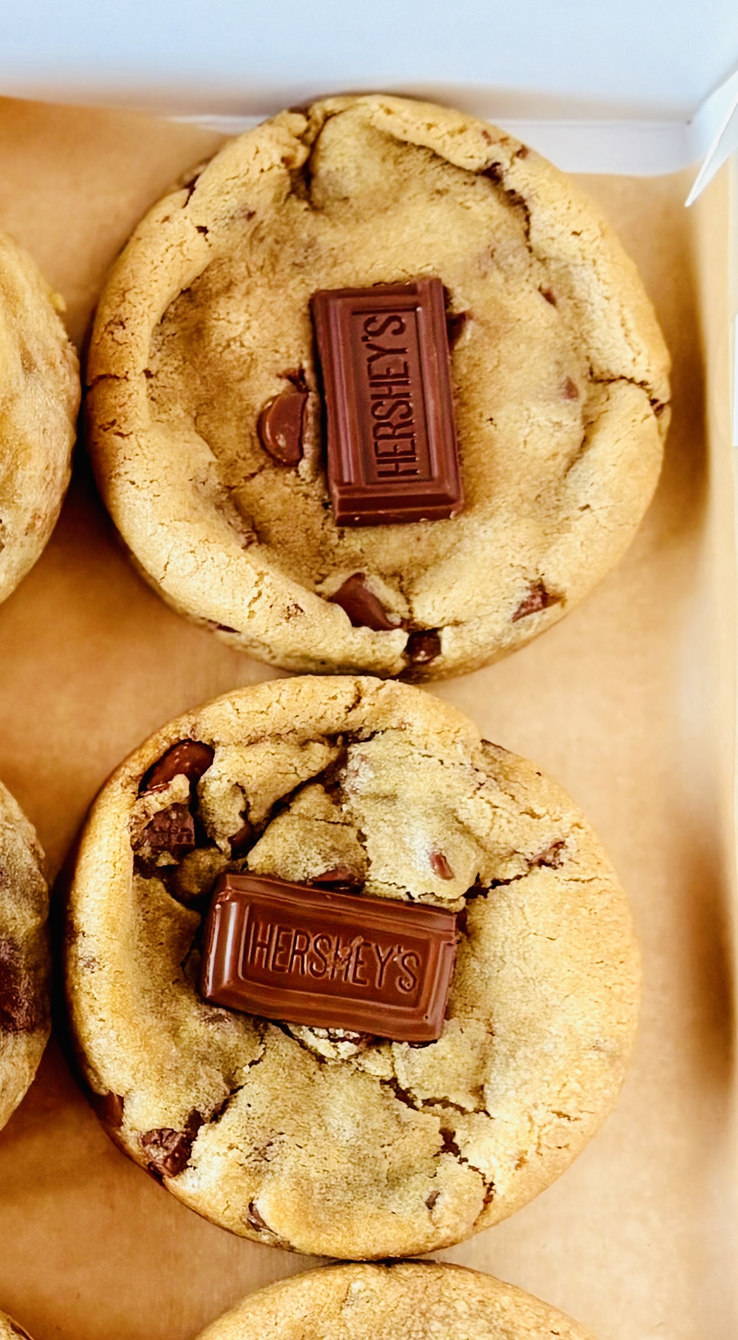 Chocolate Chip