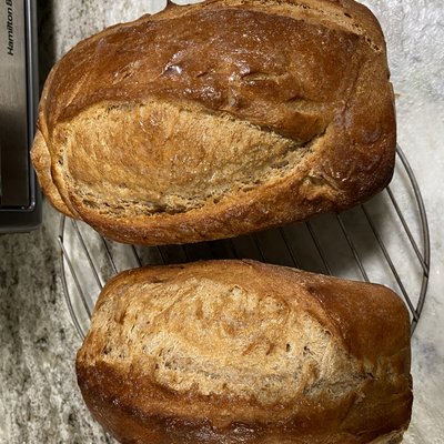Honey Wheat Yeast Bread
