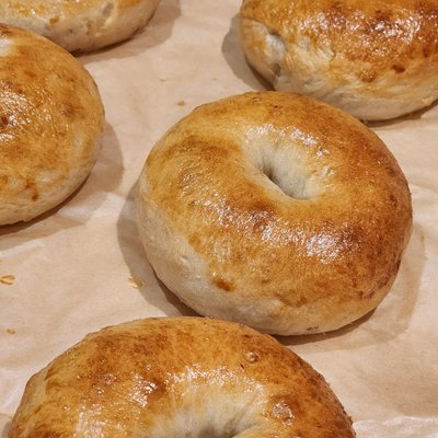 Plain Bagels 6 Count 