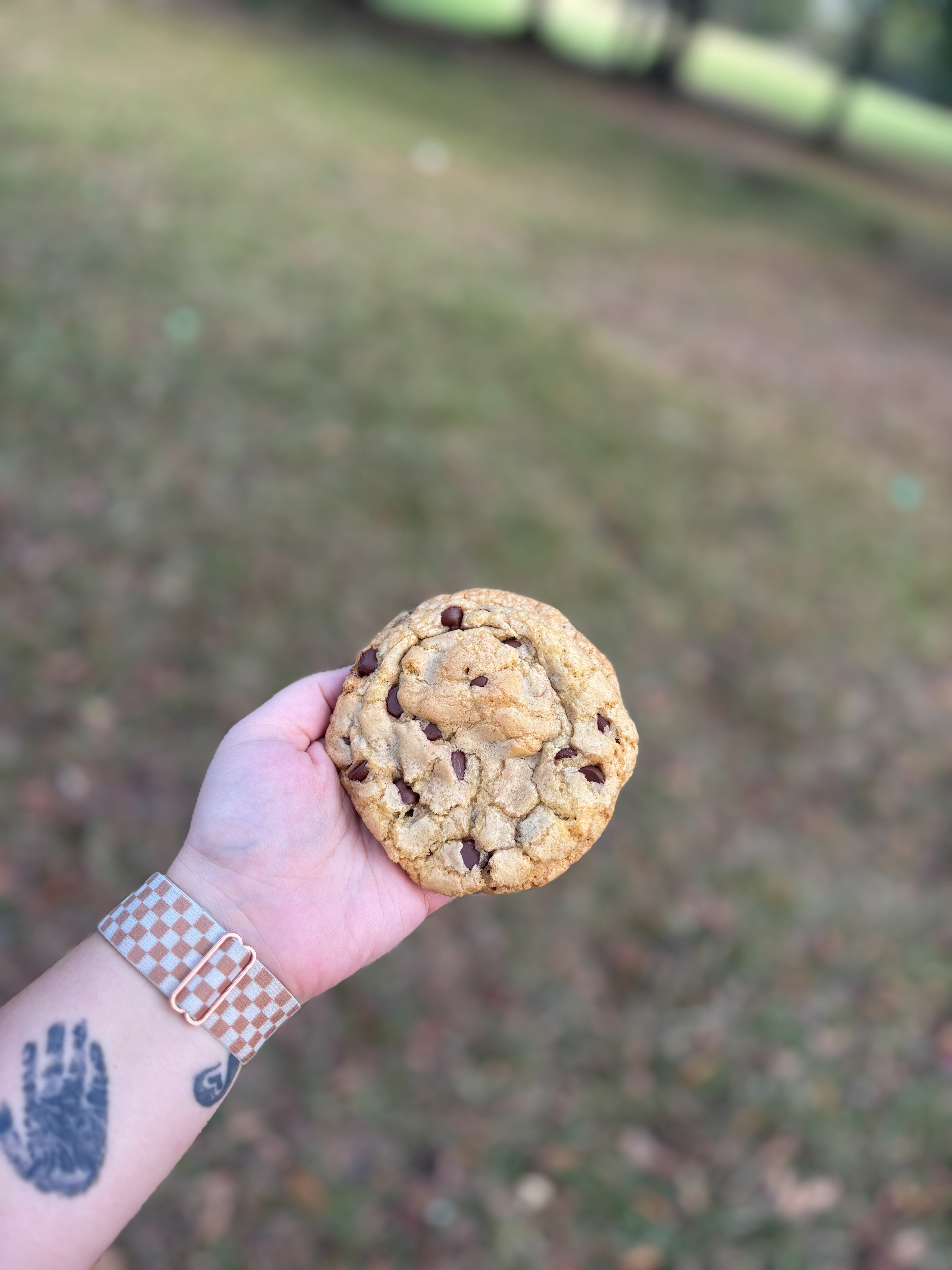 4 Pack OG Chocolate Chip