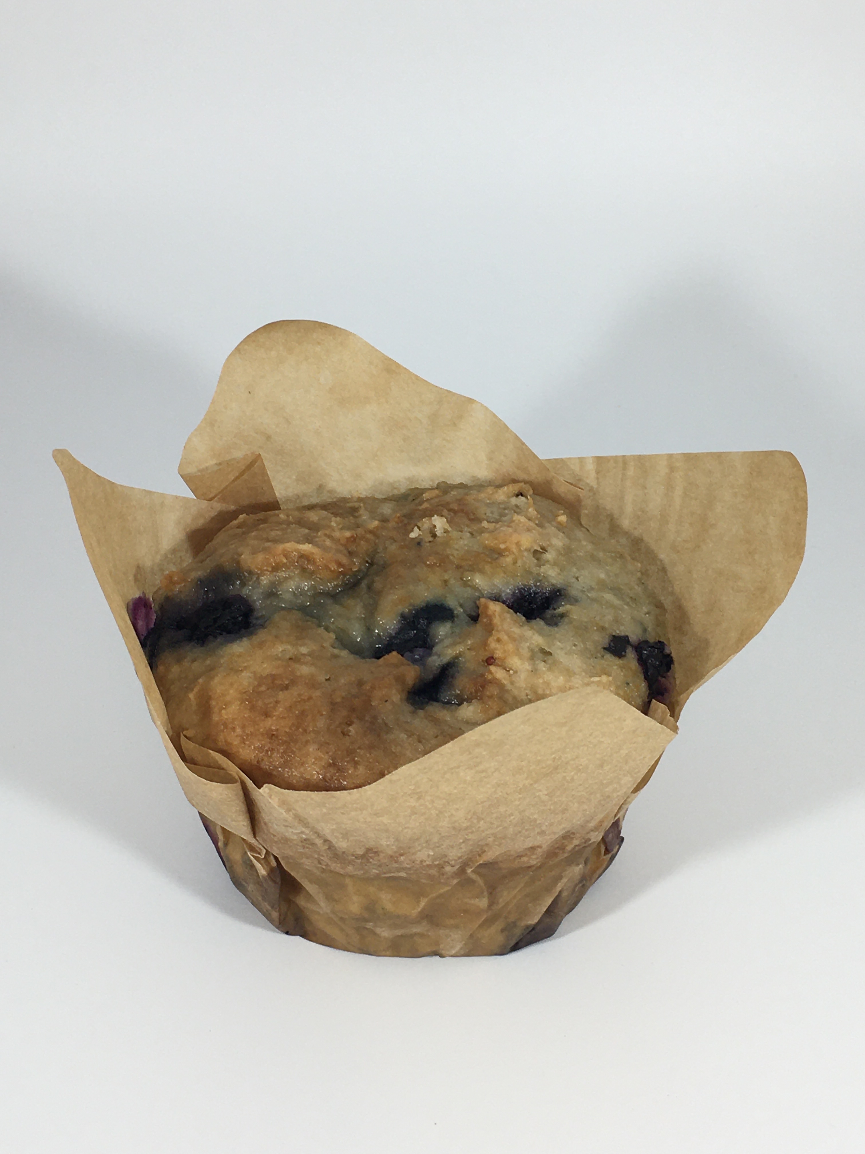 Blueberry Muffin