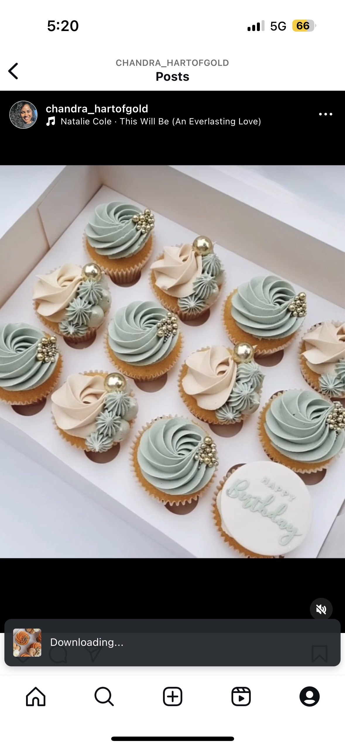 1 DOZEN CUPCAKES 