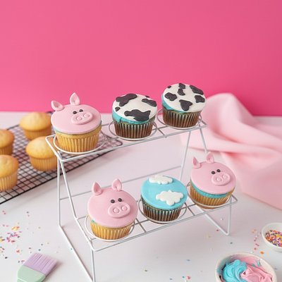 12 Custom Decorated Cupcakes