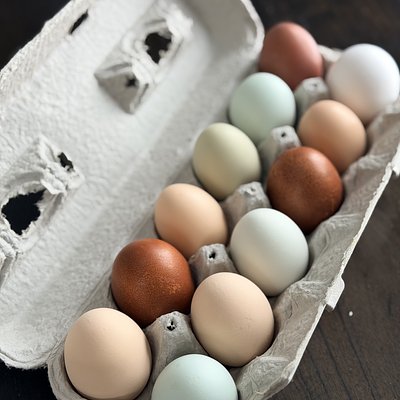 1 Dozen Fresh Eggs (washed & Refrigerated) 