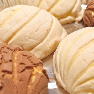 Conchas (10)