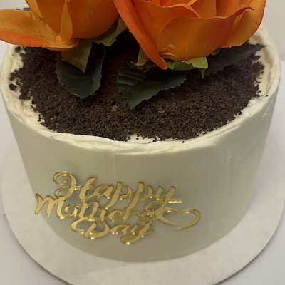 Mother’s Day Flower Pot Cake 