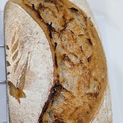 Traditional Sourdough Loaf