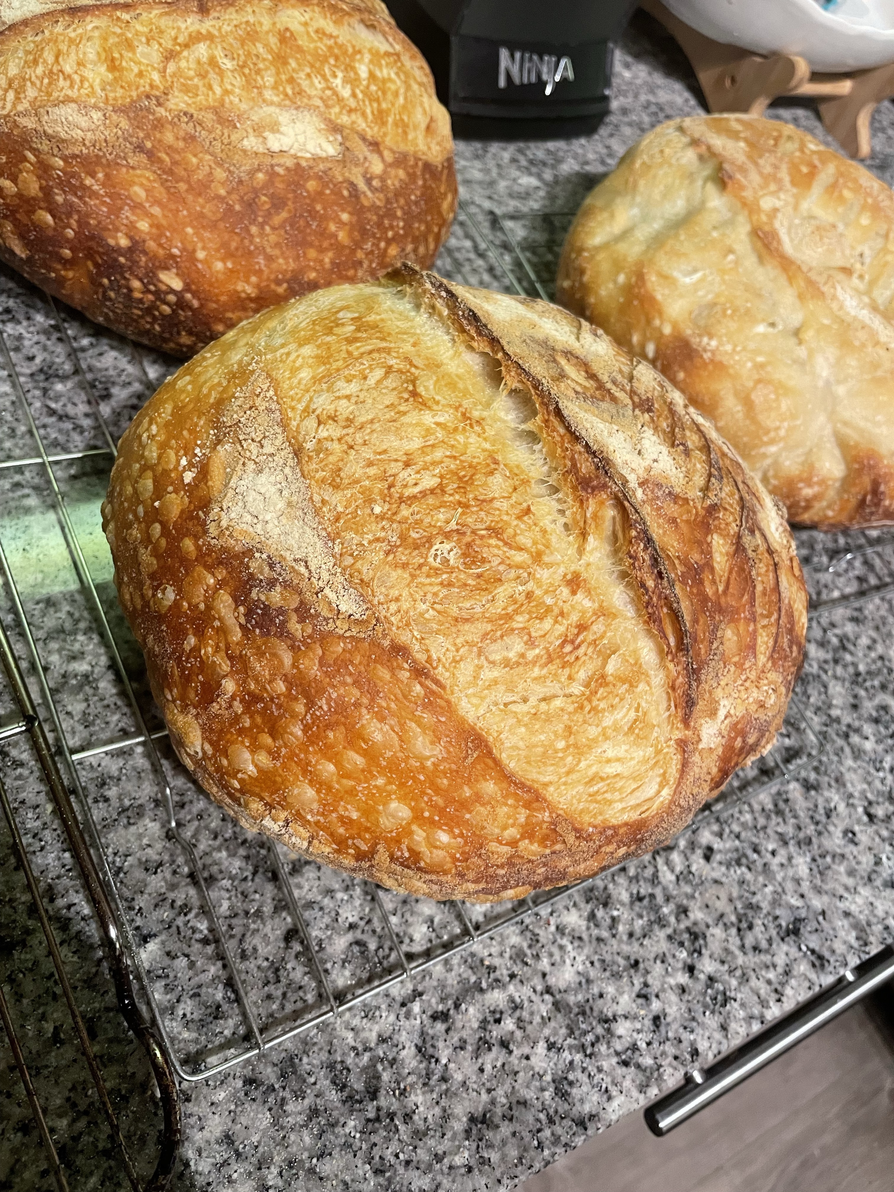 Classic sourdough Loaf