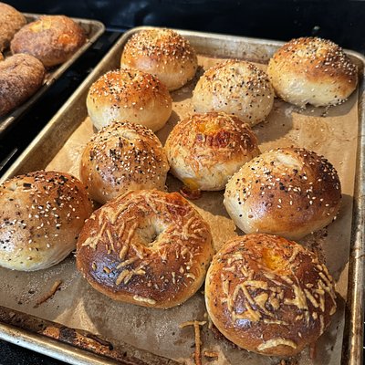 Mixed Bagels - 4