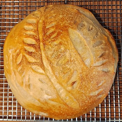 Sourdough (SBflo) 