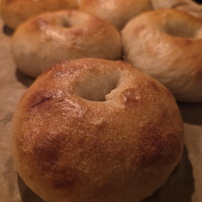 Sourdough Bagels