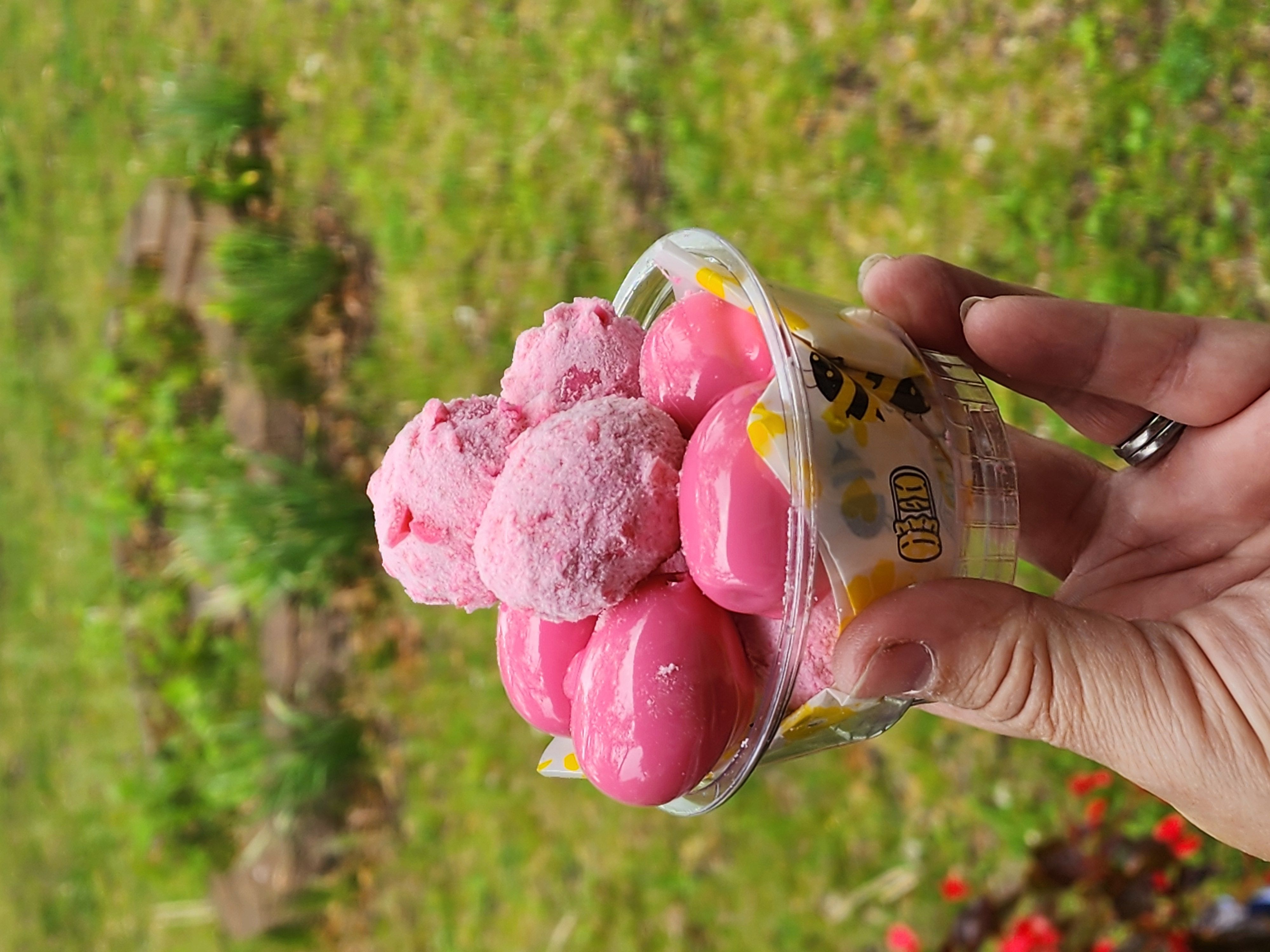 Mini Bucket Grapes-5oz Container