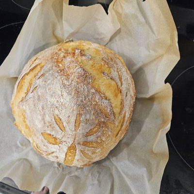 Mini Italian Sourdough Bread Bule
